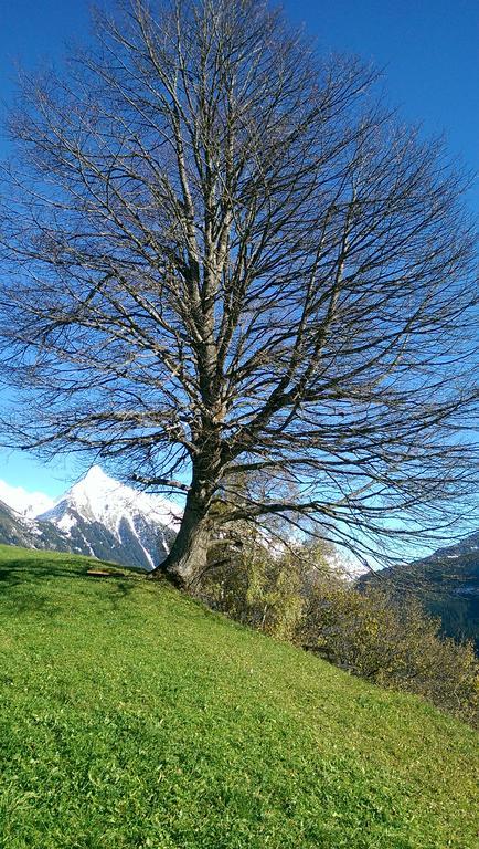 Gaestehaus Tramnitz Mayrhofen Exterior foto